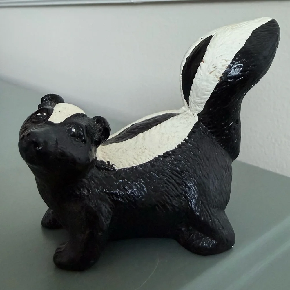 Cute skunk